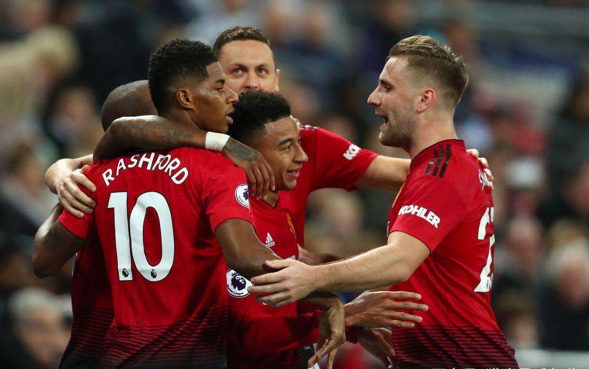 马术运动的 马术运动的