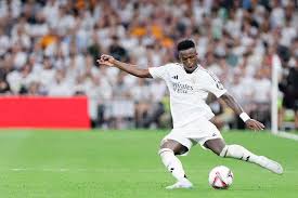 仅展示了强 仅展示了强