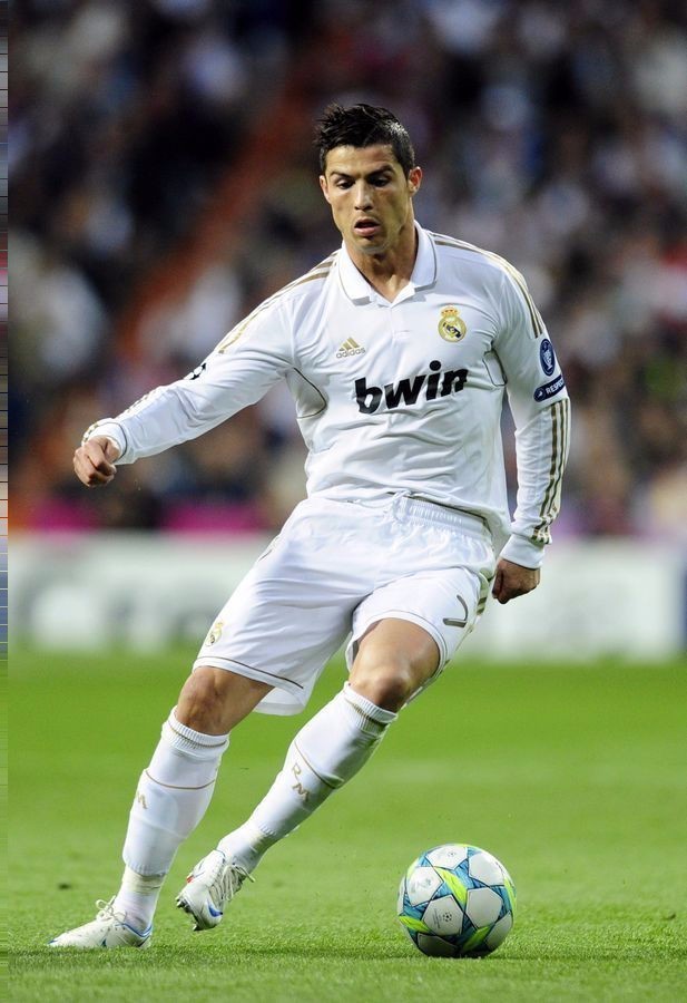 罗克的租借 罗克的租借